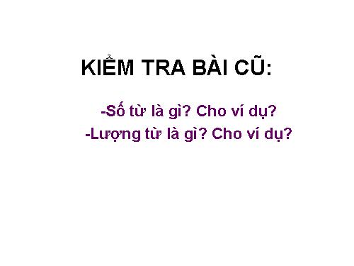 Bài 13. Chỉ từ