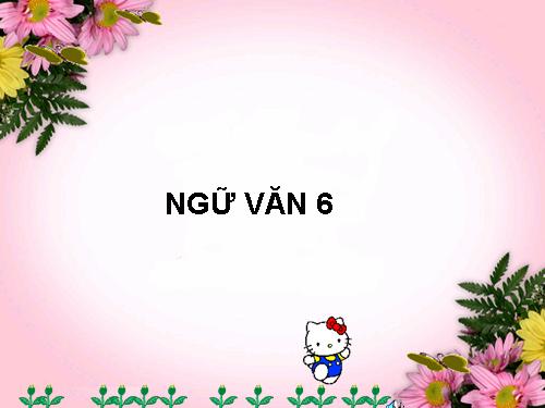 Bài 19. Sông nước Cà Mau