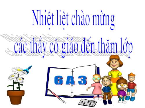 Bài 12. Số từ và lượng từ