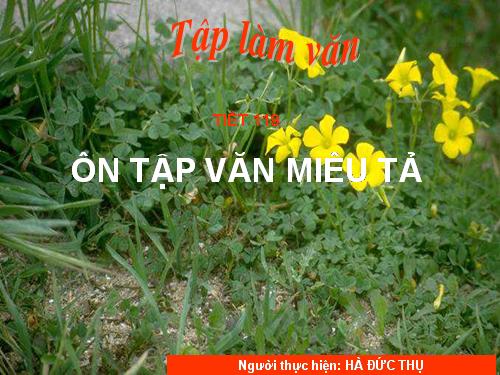 Bài 28. Ôn tập văn miêu tả