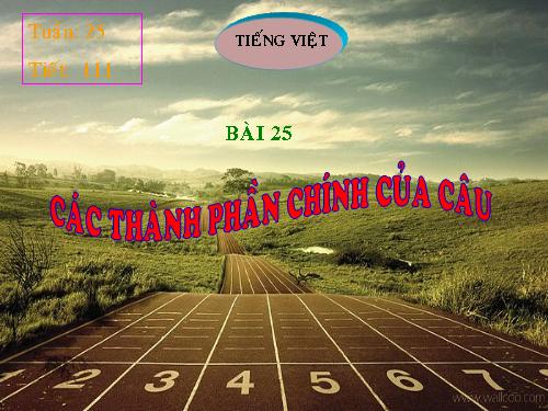 Bài 25. Các thành phần chính của câu