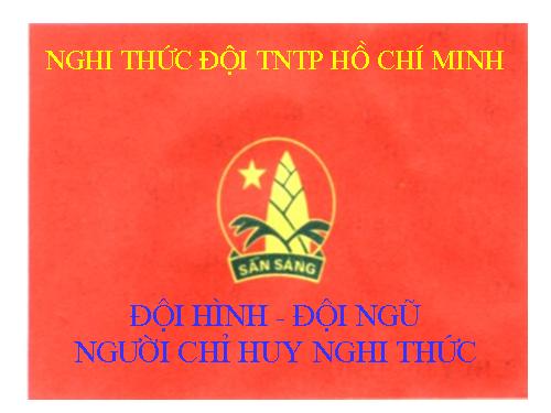 Đội hình đội ngũ (sưu tầm)