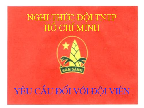 7 yêu cầu đội viên (Sưu tầm)