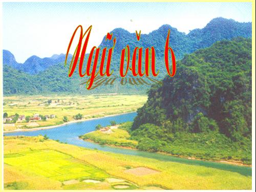 Bài 31. Động Phong Nha