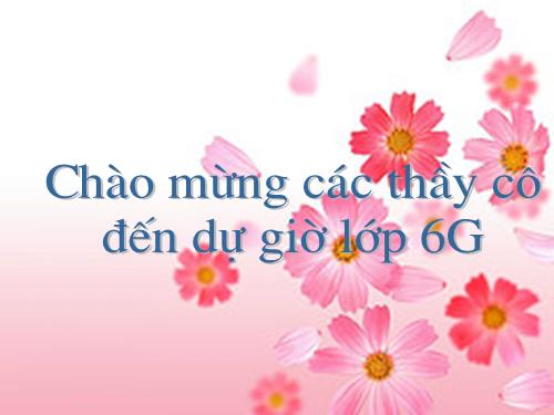 Bài 8. Cây bút thần