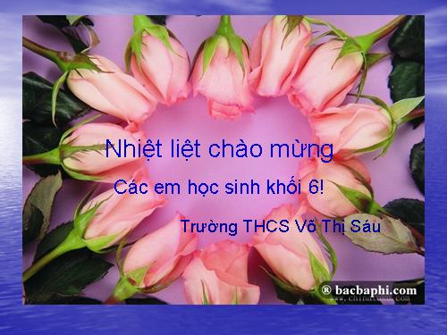 Bài 9. Ông lão đánh cá và con cá vàng