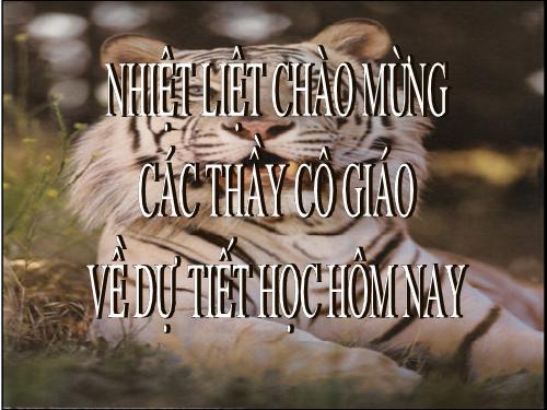 Bài 14. Con hổ có nghĩa