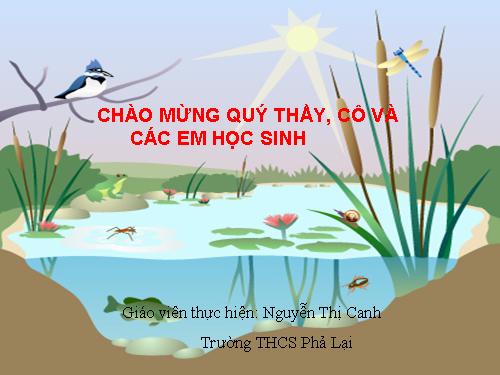 Bài 10. Ếch ngồi đáy giếng