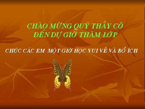 Bài 15. Mẹ hiền dạy con