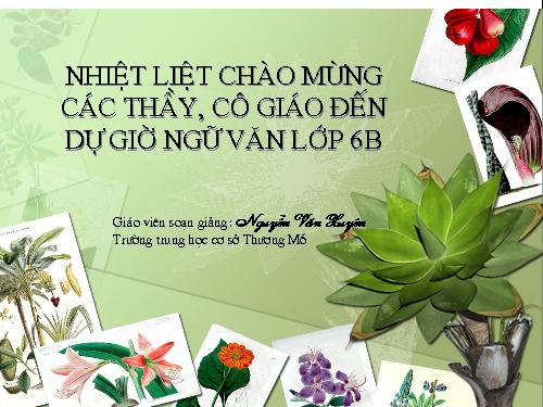 Bài 13. Chỉ từ
