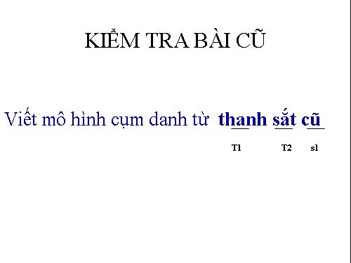 Bài 12. Số từ và lượng từ