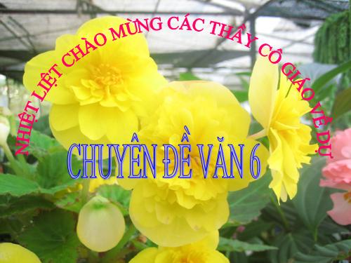 Bài 25. Các thành phần chính của câu