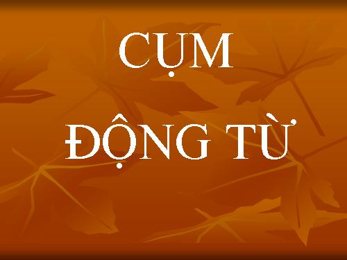 Bài 14. Cụm động từ