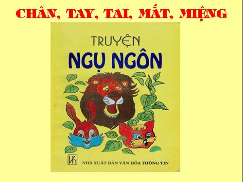 Bài 11. Chân, Tay, Tai, Mắt, Miệng