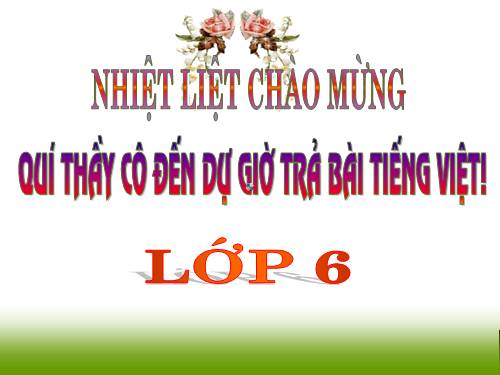 Bài 17. Kiểm tra Tiếng Việt