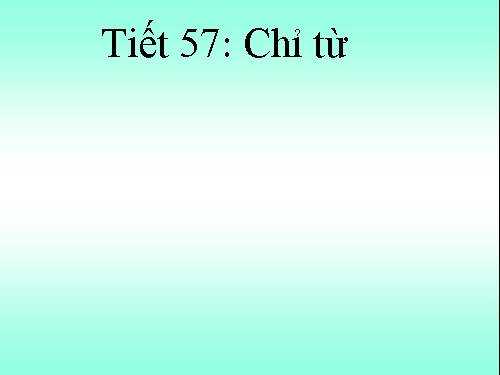 Bài 13. Chỉ từ