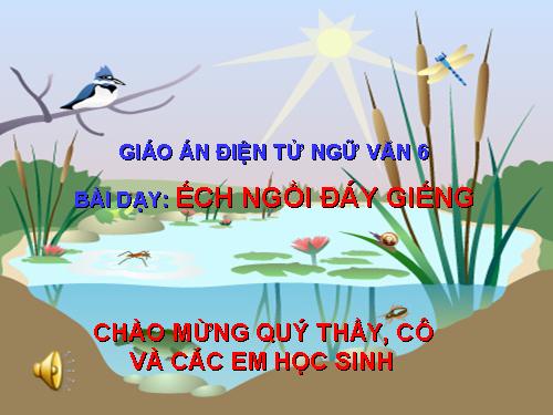 Bài 10. Ếch ngồi đáy giếng