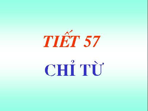 Bài 13. Chỉ từ