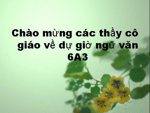 Bài 23. Ẩn dụ