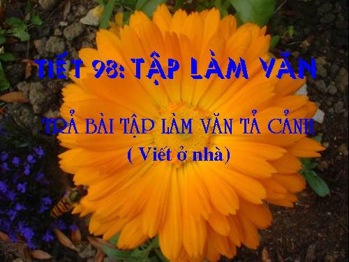 Bài 21. Viết bài tập làm văn số 5 - Văn tả cảnh (làm ở nhà)