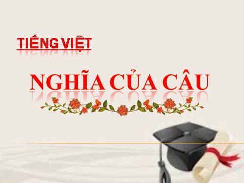 nghĩa của câu(Tiêt1,2)