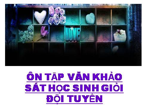 khảo sát hsg văn 8