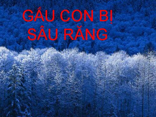 Câu chuyện : " Gấu con bị sâu răng "