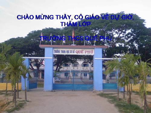 trong rừng loong boong