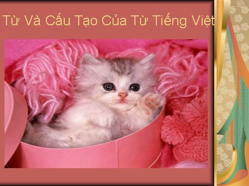 Từ Và Cấu Tạo Của Từ Tiếng Việt