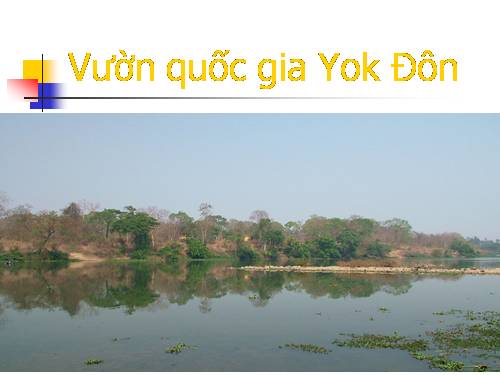 Ngữ văn 10: Thuyết minh Vườn quốc gia Yok Đôn