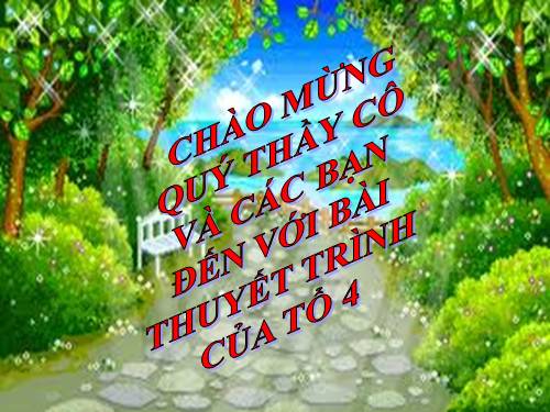 các bài dạy về câu