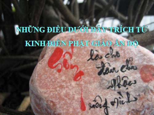 LỜI KHUYÊN CỦA PHẬT