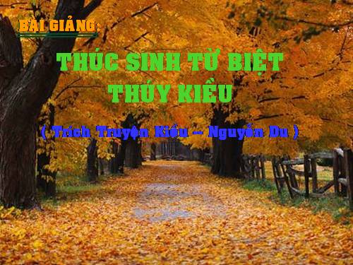 thúc sinh từ biệt thúy kiều