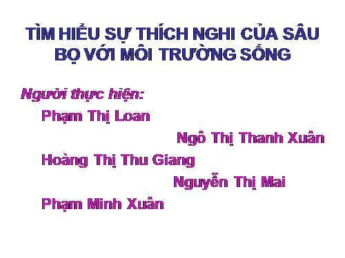 Phương pháp xây dựng tập làm văn