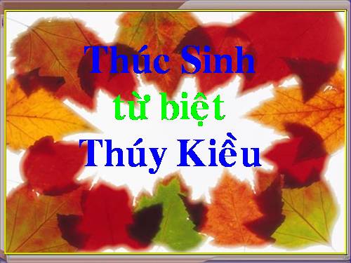 thúc sinh từ biệt thúy kiều