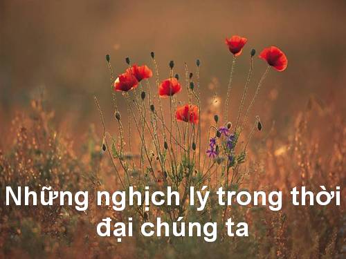 ngịch lí cuộc đời