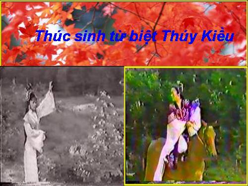 Bài giảng thúc sinh từ biệt thúy kiều