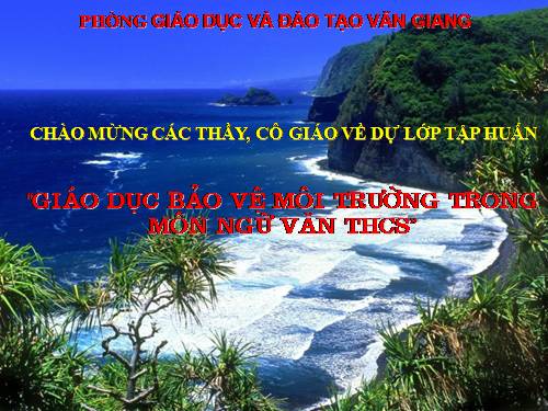 Giao duc moi truong trong mon Ngu van THCS