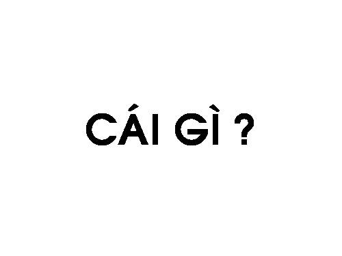DẠY BÉ HỎI VÀ TRẢ LỜI QUA HÌNH ẢNH
