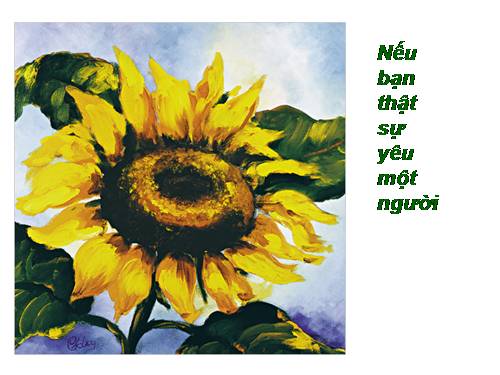 Nếu bạn thật sự yêu một người...