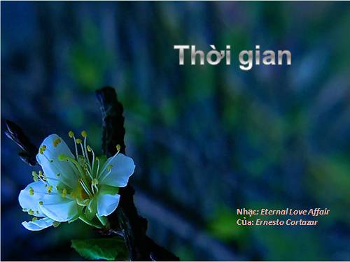 Khi ta thương yêu, thời gian là vĩnh cửu...