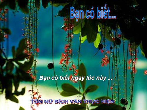 Lúc này có ai đó nhớ bạn...