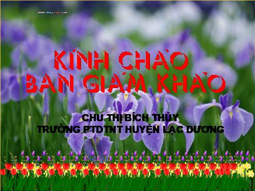 CHU THI BICH THUY