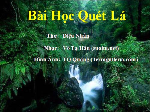 Bài học quét lá