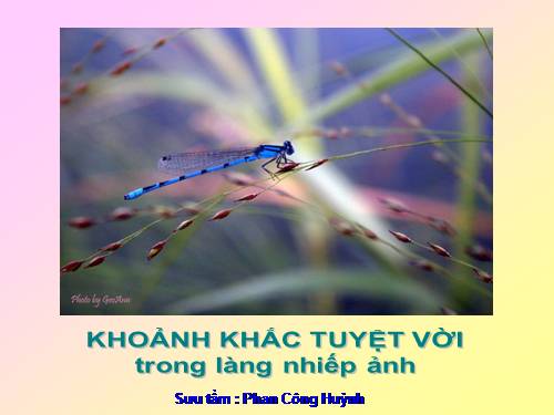 Khoảnh khắc tuyệt vời