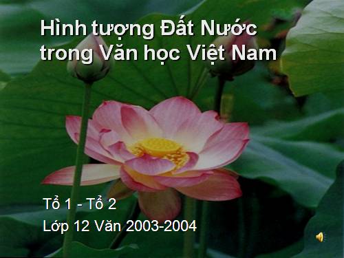 thuý văn-sử k16a