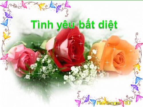 a. tinh yeu bat diet