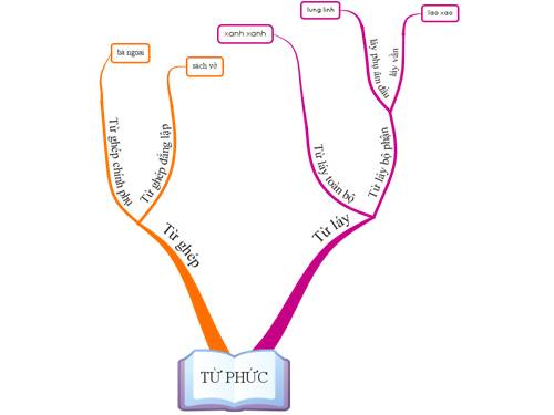 Bản đồ tư duy bài Từ phức