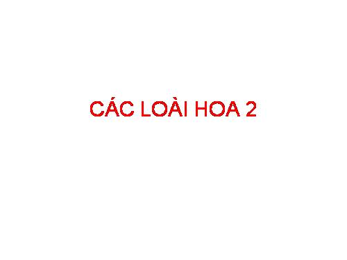 Các loài hoa