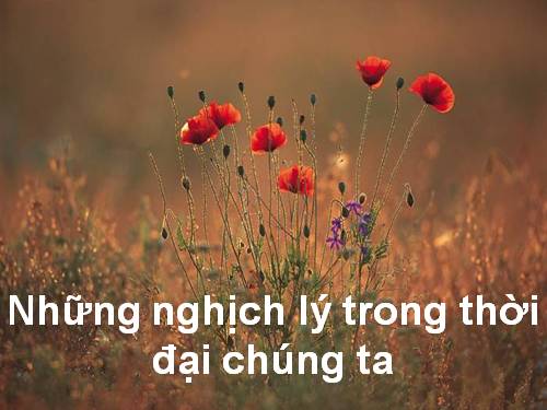 Cùng đọc và suy ngẫm